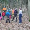 02 Aktion Februar 25 Tiere im Winterwald